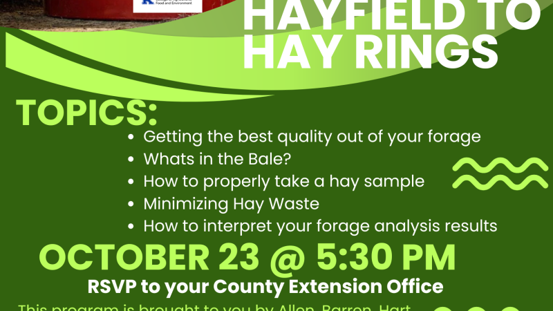 Hayfield to Ring