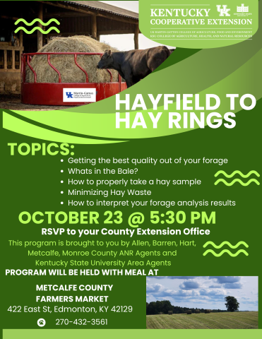 Hayfield to Ring